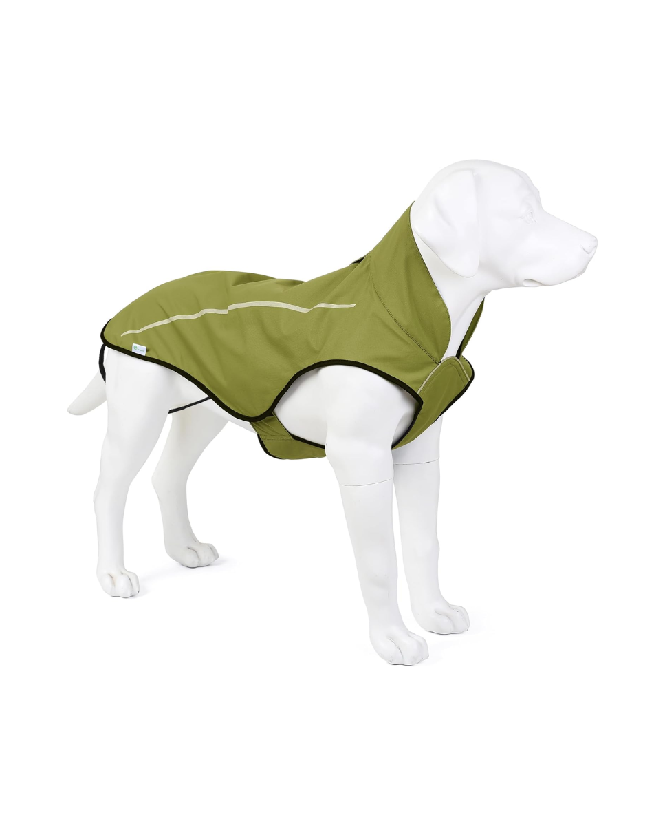 Chubasquero de perro verde