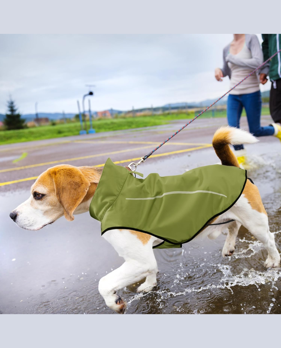 Chubasquero de perro verde 