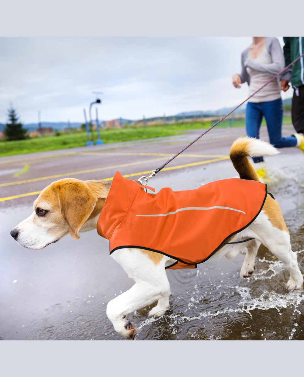 Chubasquero de perro naranja