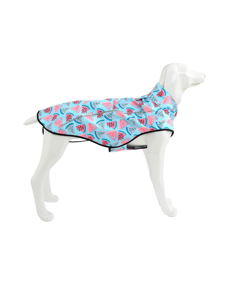 Chubasquero de perro con estampado de sandias