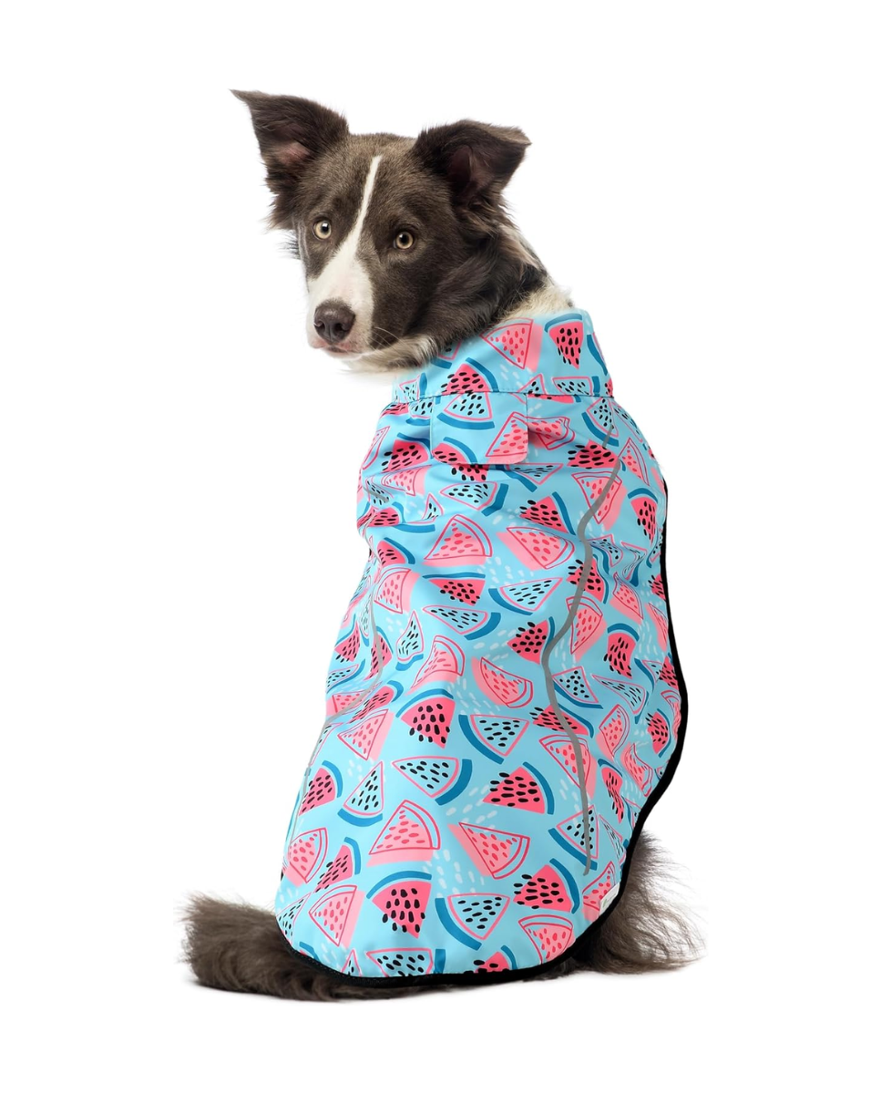 Chubasquero de perros con estampado de sandias