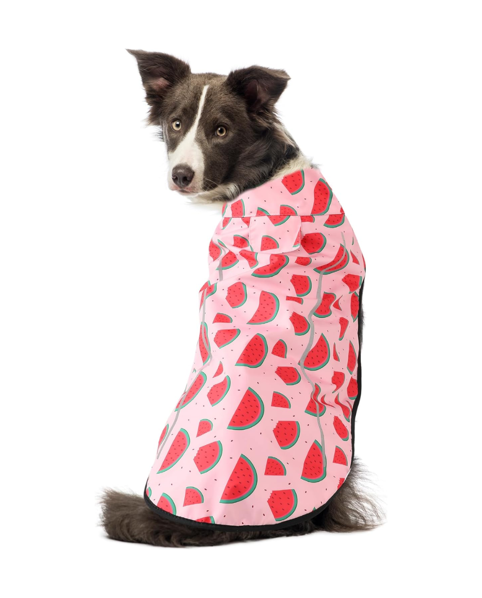 Chubasquero de perros con estampado de sandias