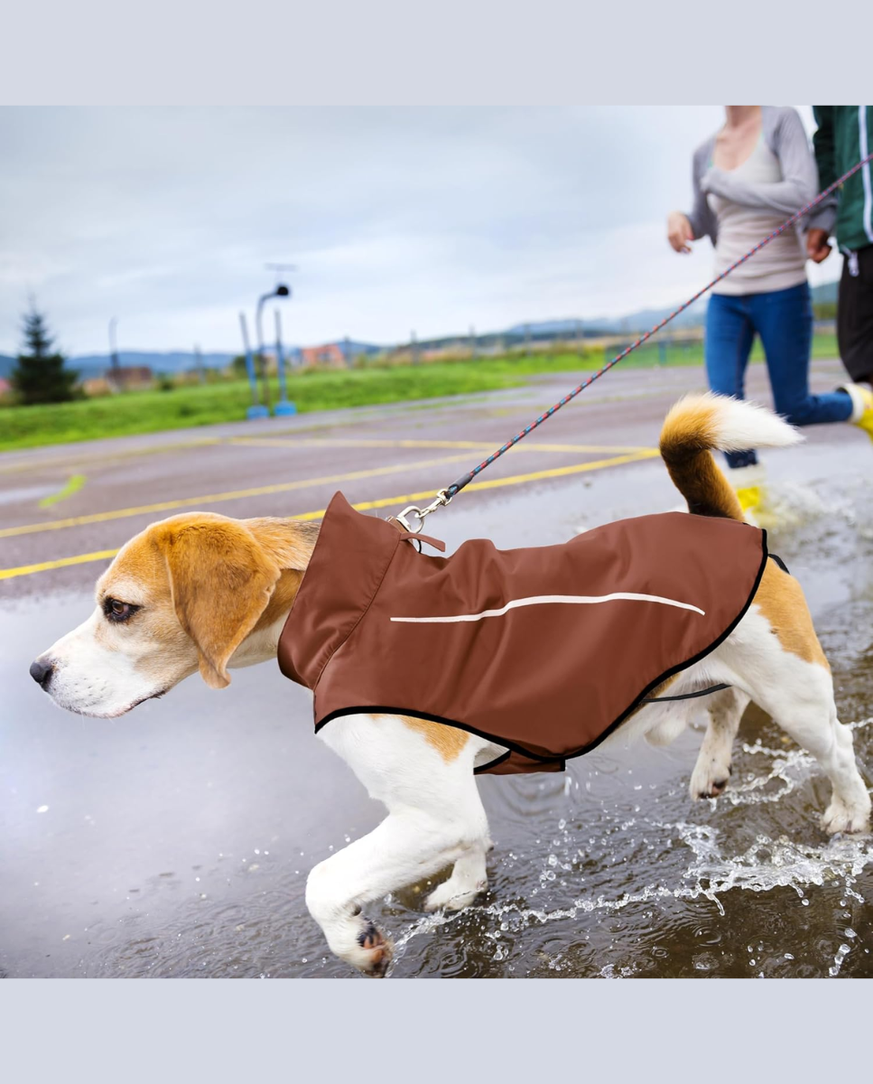 Chubasquero de perro marrón 