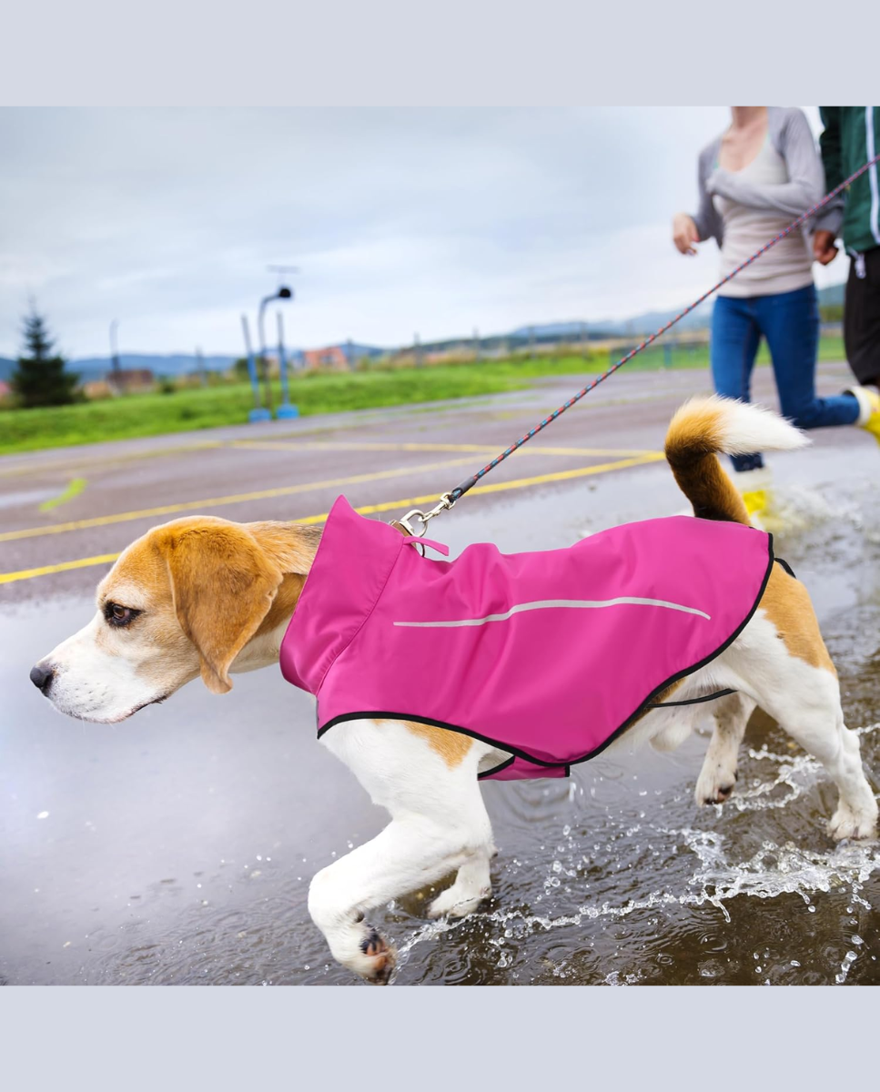 Chubasquero de perro rosa