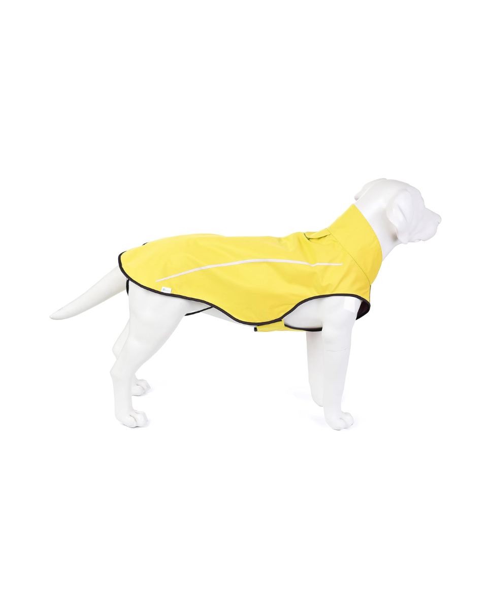 Chubasquero de perro amarillo 