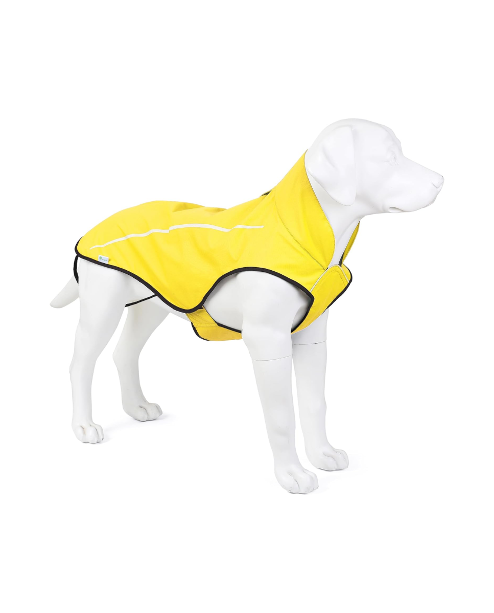 Chubasquero de perro amarillo 