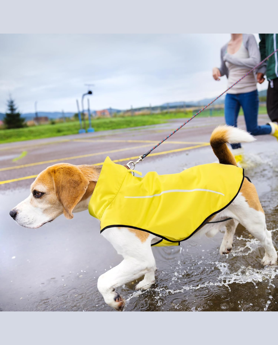 Chubasquero de perro amarillo 